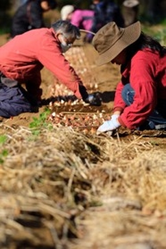 農作業・山の整備に関わりたい